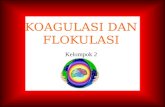 Koagulasi dan-flokulasi1-131112073350-phpapp01