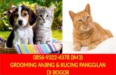 0856-9322-4378 Jasa Grooming Anjing dan Kucing Panggilan di Bogor, Salon Anjing di Bogor, Salon Kucing di Bogor