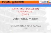 Data  manipulation language