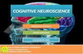 Cognitive neuroscinece