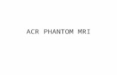 MRI Quality Control ACR Phantom PRO MRI
