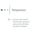 Terpenes (basics)