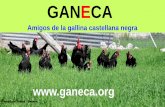 Jl Yustos Ganeca-Foro INIA GanaderiaEcologica2017