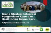 Grand Strategi Integrasi Pengelolaan Kayu dan Hasil Hutan Bukan Kayu
