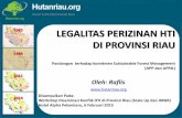 Legalitas Perizinan HTI Provinsi Riau