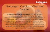 antihipertensi gololongan calcium channel blocker
