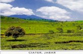 Kalender eksekutif pemandangan alam indonesia