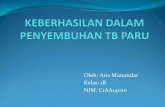 Keberhasilan Dalam Penyembuhan TB Paru di Jawa Barat Pada tahun 2012
