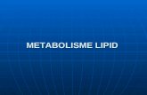 Metabolisme lipid for tarbiyah