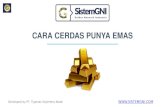 Presentasi Golden Network Indonesia