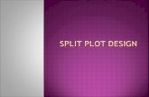 Split plot design