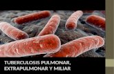 Tuberculosis extrapulmonar y miliar