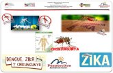 Dengue-Chikungunya-Zika (Amb. Puentecitos)