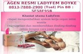 Stokist Ladyfem Dumai, 0813-7888-2900 (Tsel), Agen Ladyfem di Dumai, Distributor Ladyfem di Dumai,