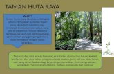 Ekologi Taman Hutan Raya Ir. H. Djuanda