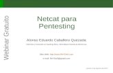 Webinar Gratuito: "Netcat para Pentesting"