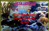 0896-2481-9055 (Tri), Jual aquarium Bekasi, Jual Aquarium Jakarta