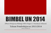 BIMBEL UN 2014 - · PDF fileBIMBEL UN 2014 [Mata Pelajaran Biologi SMA Negeri 1 Nunukan Selatan] ... [wahana biologi] Senin, 24 Maret 2014 3 Soal UN Tahun 2011 Kode 15 Nomor soal 23