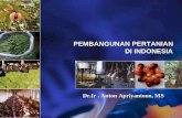 PEMBANGUNAN PERTANIAN DI INDONESIA · PDF filePERTANIAN INDONESIA DI PERSIMPANGAN JALAN Kontribusi pertanian dalam pembangunan ekomomi (Kuznets,1964; Todaro,2000): 1.Pertanian sebagai