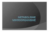metabolisme - tekpan.unimus.ac.idtekpan.unimus.ac.id/wp-content/uploads/2014/04/P2-METABOLISME-… · Proses Metanogenesa: Semua hasil dari tahap sebelumnya diubah menjadi gas CH4
