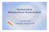 Karbohidrat Metabolisme Karbohidrat · PDF fileberfungsi dlm proses pengenalan antar sel ... -Menghasilkan ATP dari reaksi fosforilasi tingkat subtrat ADP ... • Berfunggjgsi dalam