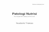D3 Patologi Nutrisi - Triakoso's Vetblog · PDF file• Pada kebuntingan akhir (anak kembar) ... saluran cerna, sistem reproduksi) • Akut, subakut, kronis ... poliuria, polidipsia,