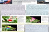 PENGINDERAAN JAUH UNTUK PREDIKSI POTENSI · PDF filesatu negara yang mempunyai gunung berapi teraktif di ... Data yang digunakan pada ... • Pratomo, I., 2006. Klasifikasi gunung