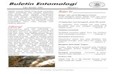 Buletin Entomologi - Peka Indonesiapeka-indonesia.org/wp-content/uploads/2015/05/... · Mada, Universitas Jember, Petrokimia Kayaku Gresik, Balai Besar Perbenihan dan Proteksi Tanaman