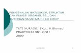 TUTI NURAINI, SKp., M.Biomed PRAKTIKUM BIOLOGI I …staff.ui.ac.id/.../tutinfik/material/praktikum1seldanorganelsel1.pdf · pengenalan mikroskop, struktur dan fungsi organel sel,