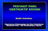 PENYAKIT PARU OBSTRUKTIF KRONIK - Website Staff UIstaff.ui.ac.id/.../files/users/budhi.antariksa/material/faal-ppok.pdf · PPOK DI INDONESIA Belum ada angka prevalens Cenderung meningkat