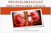 Oleh YettiWira Citerawati SY, S.Gz, M · PDF fileMengurangi edema dan menjaga keseimbangan cairan tubuh 3. ... Diet B2 diberikan kepada ND dg gagal ginjal kronik ... kebutuhan tubuh