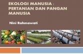 EKOLOGI MANUSIA : PERTANIAN DAN PANGAN MANUSIA · PDF fileDalam ekosistem teresterial sumber mineral dari tanah secara alami status nutrisi dipelihara oleh adanya proses daur biogeokimia