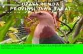 UPAYA PEMDA PROVINSI JAWA BARAT DALAM · PDF filePROVINSI JAWA BARAT ... berfungsi lindung di dalam kawasan hutan dan di luar kawasan hutan; 2. ... Updating Status dan Sebaran Keanekaragaman