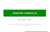 KINDOM ANIMALIA - · PDF filevermicularis (cacing kremi); Ancylostoma duodenale (Cacing tambang)Trichiella spiralis (cacing otot; Filaria bancrofti (Cacing filaria) ANNELIDA (CACING