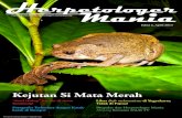 Kejutan Si Mata Merah - xa.yimg.comxa.yimg.com/kq/groups/20809606/1436089309/name... · itu di perkotaan adalah suatu catatan ... di antaranya Jurnal Biologi Papua, Warta Herpetofauna