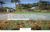 Laporan Profiling Pulau Semau - 2015 - · PDF fileMereka menanam kebunnya dengan padi ... semangka, tomat, bawang, dan cabai merupakan komoditi ... tidak terlalu cocok untuk budidaya