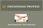 Ganda Ardiansyah Kep. Profesional · PDF fileMisi utama organisasi profesi adalah utk merumuskan kode etik ... PPNI Organisasi ini ... Menyempurnakan AD / ART