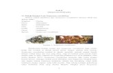 BAB II TINJAUAN PUSTAKA 2.1 Biologi Rumput Laut …media.unpad.ac.id/thesis/230210/2009/230210090003_2_2375.pdf · Reproduksi Sargassum crassifolium terdiri dari dua cara, yaitu ...