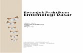 Petunjuk Praktikum Entomologi Dasar · PDF fileMenu praktikum Acara 7. Pengenalan habitat serangga Melakukan kegiatan lapangan untuk mempelajari kehidupan serangga di lingkungannya