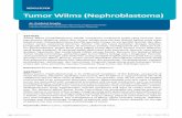 MEDICAL REVIEW Tumor Wilms (Nephroblastoma)cme.medicinus.co/file.php/1/MEDICAL_REVIEW_Tumor... · yang dapat dipalpasi, di samping dapat ditemukan pula hematuria, anemia, nyeri perut,