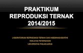 PRAKTIKUM REPRODUKSI TERNAK 2014/2015 · PDF file1.’Ovarium ’ 2.’ 3.’ Dst. 1 2 ... Toelihere,’M.’R.’1997.’Fisiologi’Reproduksi’Pada’Ternak. ... 17D18’Sept2014’
