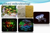 Aplikasi mikrobiologi dalam kehidupan · PDF fileCytokinin dan auksin merupakan . plant growth ... dalam lintasan biosintesis, ditemukan oleh Ingo Pottrykus dari Institute of Plant