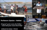 Perikanan: Spesies - Habitatledhyane.lecture.ub.ac.id/files/2013/03/Kul_04-PDP-Fisheries... · •Makanan: makrofauna, menggaruk dasar •Alat tangkap: pukat pantai, pancing Gill