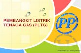 PEMBANGKIT LISTRIK TENAGA GAS (PLTG)knowledgecenter.ptpp.co.id/app/assets/upload/files/42c03c7cf4b548d... · PLTG adalah pembangkit listrik yang menggunakan tenaga yang dihasilkan