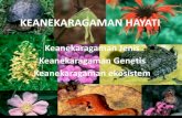 Keanekaragaman Jenis Keanekaragaman Genetis · PDF fileKeanekaragaman Jenis •Walaupun hewan-hewan tersebut termasuk dalam satu familia/suku Felidae, tetapi diantara mereka terdapat