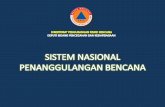 KONDISI TEKTONIK INDONESIA - proteksipublik · PDF file– Bantuan hanya sebatas pada masa tanggap darurat ... –Membangun masyarakat yang tangguh/tahan dalam ... Situasi terdapat