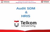 Audit SDM HRIS - saragih.staff.telkomuniversity.ac.idsaragih.staff.telkomuniversity.ac.id/files/2017/11/SDM-012th-Audit... · secara menyeluruh atas aktifitas-aktifitas pengelolaan