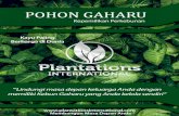 POHON GAHARU - Plantations  · PDF filePOHON GAHARU Kepemilikan Perkebunan Kayu Paling Berharga di Dunia ... industri, diperkirakan akan melampaui US$ 36 miliar pada tahun