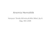Anemia Hemolitik - · PDF fileAnemia hemolitik didefinisikan : kerusakan sel eritrosit yang lebih awal.Bila tingkat kerusakan lebih cepat dan kapasitas sumsum tulang untuk memproduksi