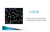 lipid defisiensi s2 -   · PDF filessnansusunan kimia dan fngsinafungsinya ... – Asam lemak jenuh= tidak mempunyai ikatan ... Dasar molekular membran